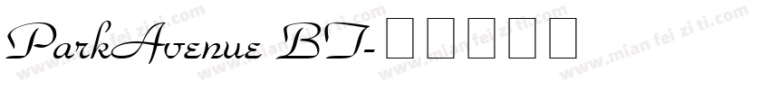 ParkAvenue BT字体转换